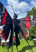 Butterfly on Stilts