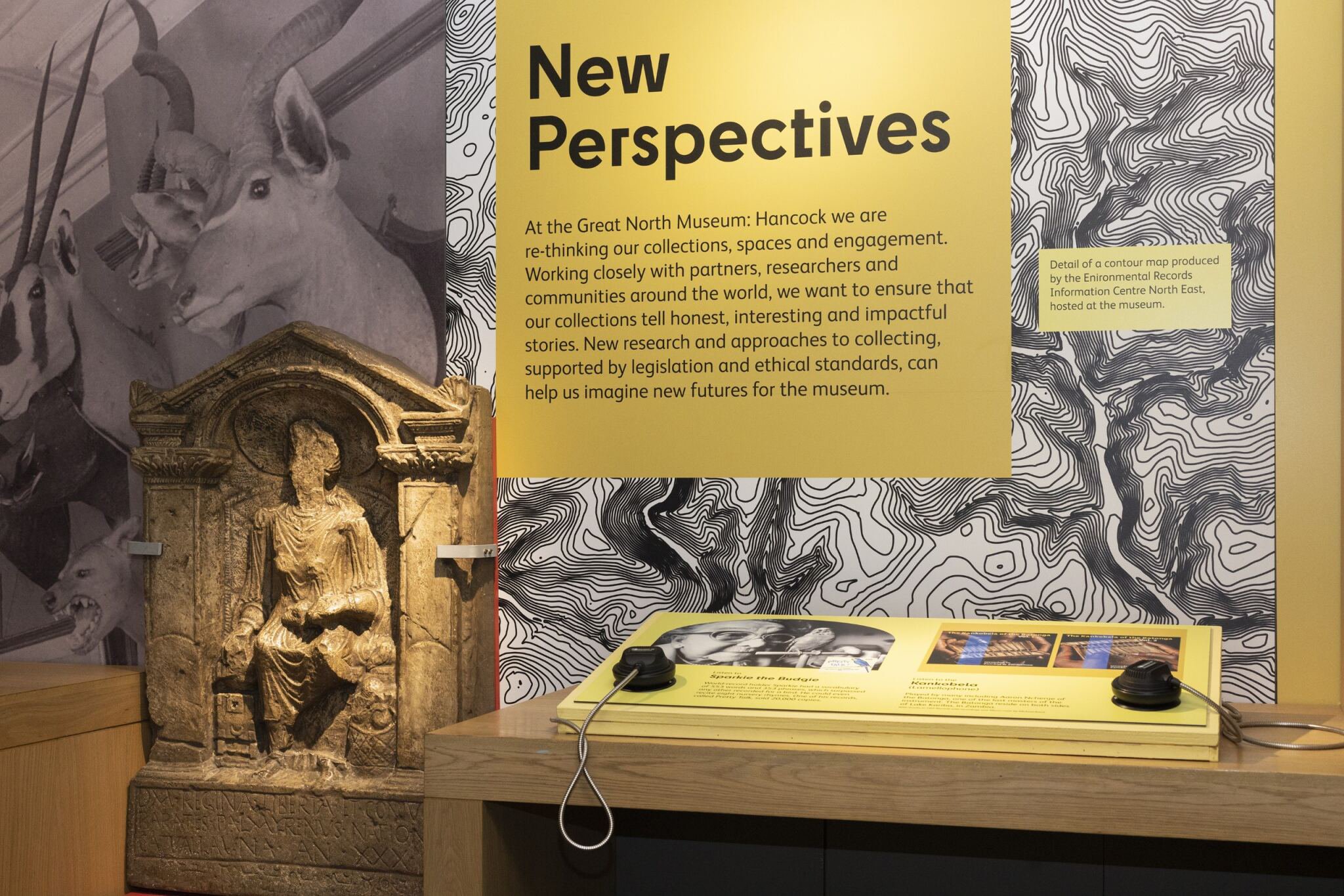 New perspectives GNMH