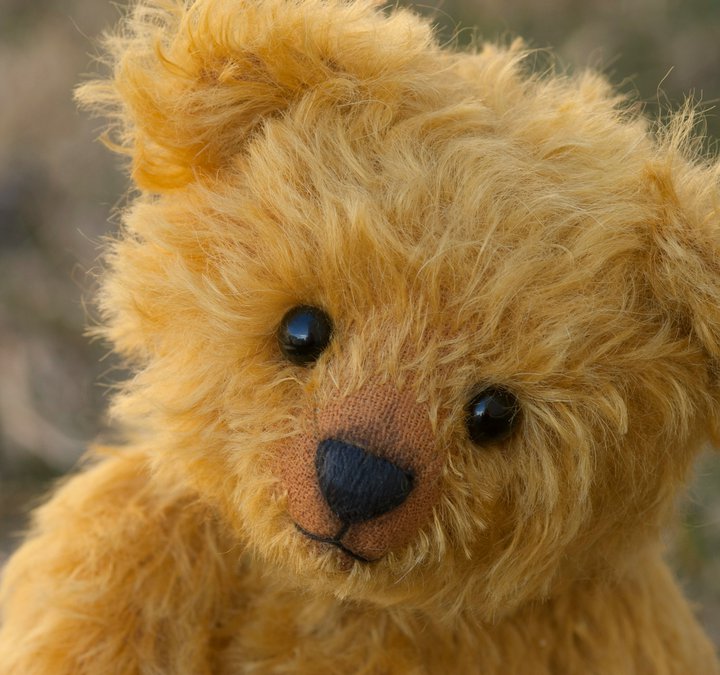 Teddy Bear Picnic Train Rides