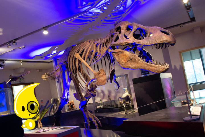 T.rex and Podi mascot - Illustration of a yellow character with magnifying glass