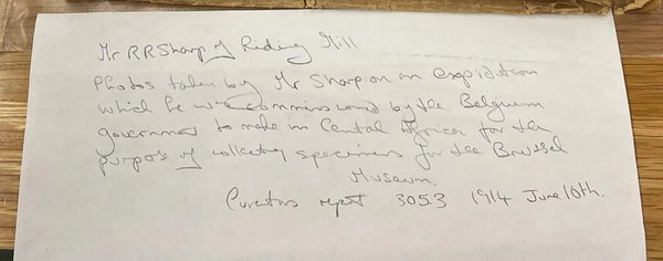 Document about R.R. Sharp’s link with the Belgian government from the NHSN Archives