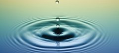mindfulness