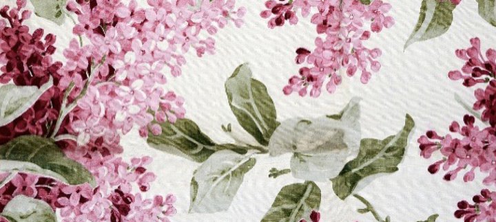 Floral images form the archives