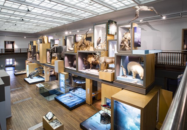 The Living Planet, a collection of taxidermy and model animals.