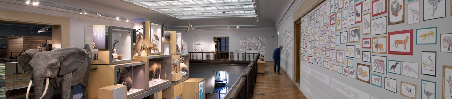 View of the Living Planet gallery at Great North Museum