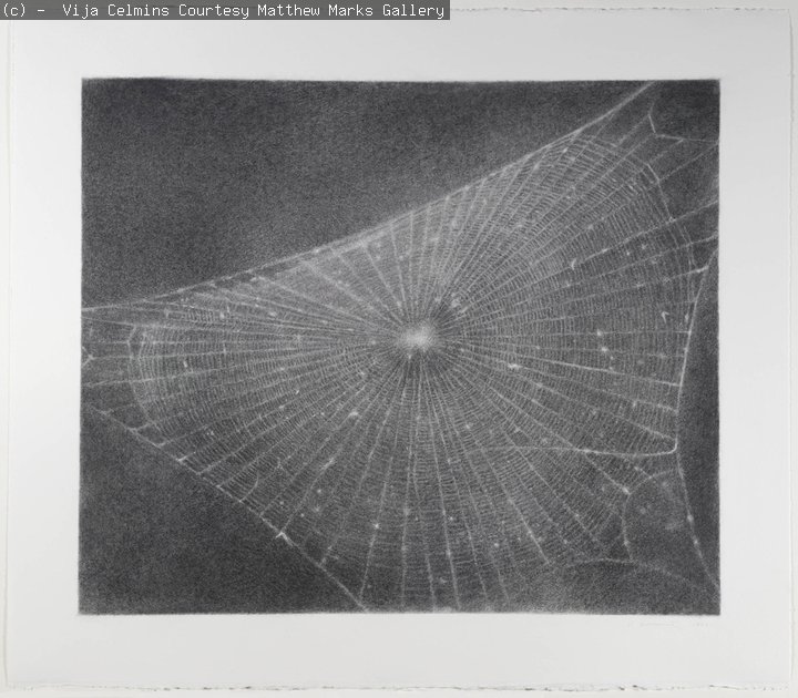 A drawing of a spider web