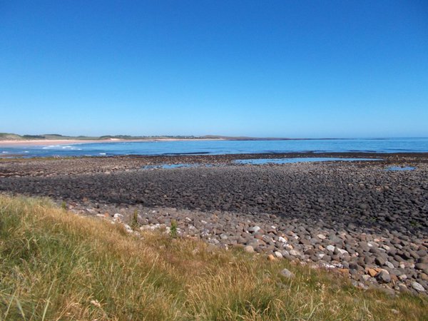 Photo of pebbles of quartz dolerite on the beach near Dunstanburgh, Northumberland.