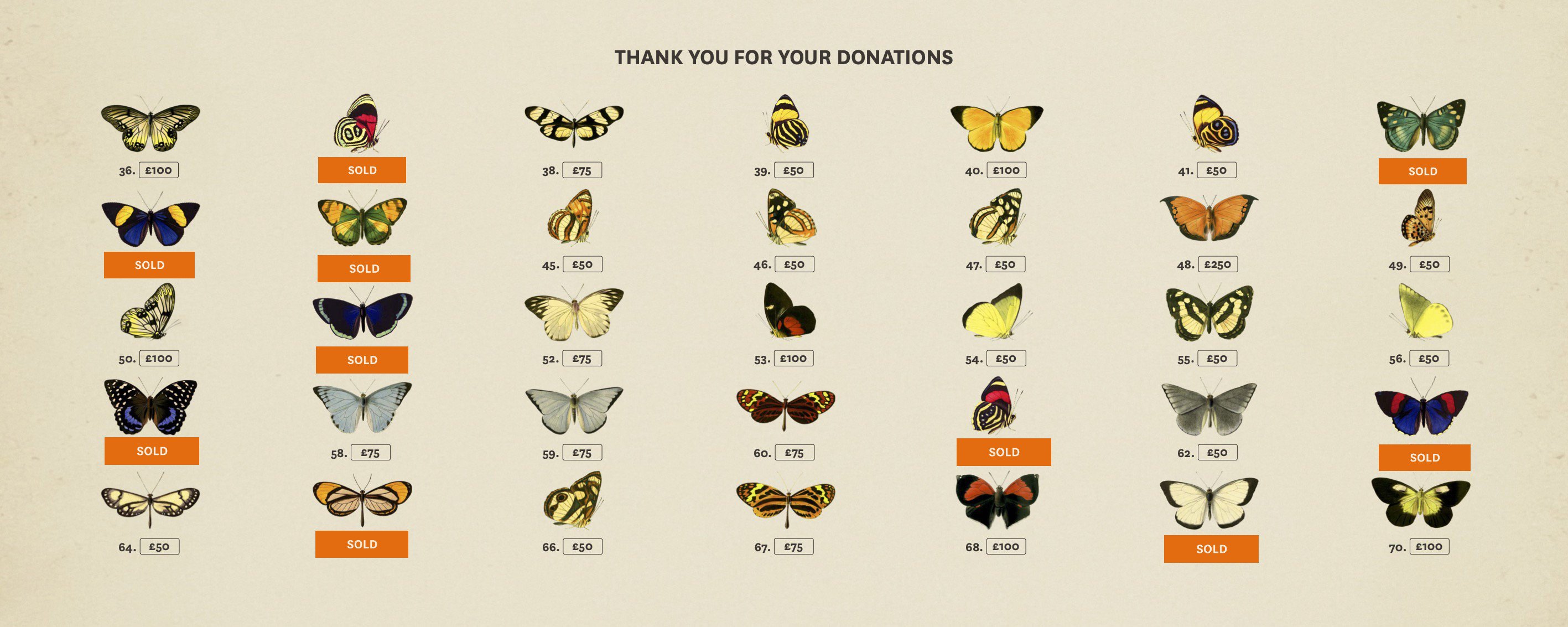 Illustrated butterflies Illustrated butterflies