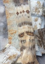 Adult workshops: Textile rust and tea dyeing with Deb Cooper