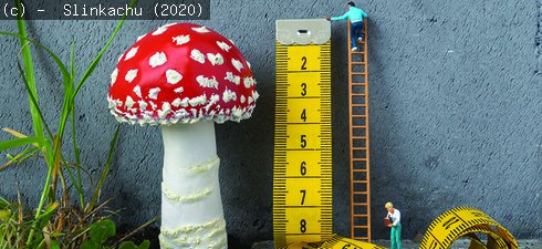 Taking a Measurement