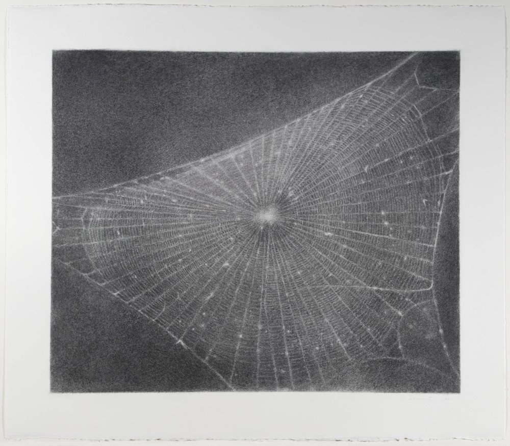 Image: Vija Celmins Web #1 1999, ARTIST ROOMS Tate and National Galleries of Scotland © Vija Celmins, Courtesy Matthew Marks Gallery