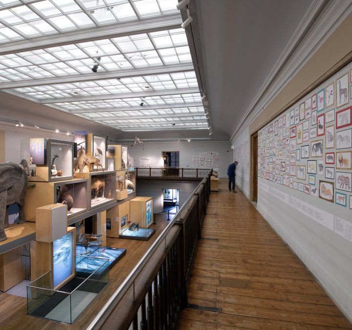 View of the Living Planet gallery at Great North Museum