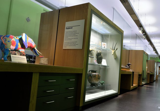 View of a museum gallery showing a multicoloured rubber elephant sculpture and other items in a glass case. There is a Greek pot, a taxidermy wombat and a taxidermy impala head