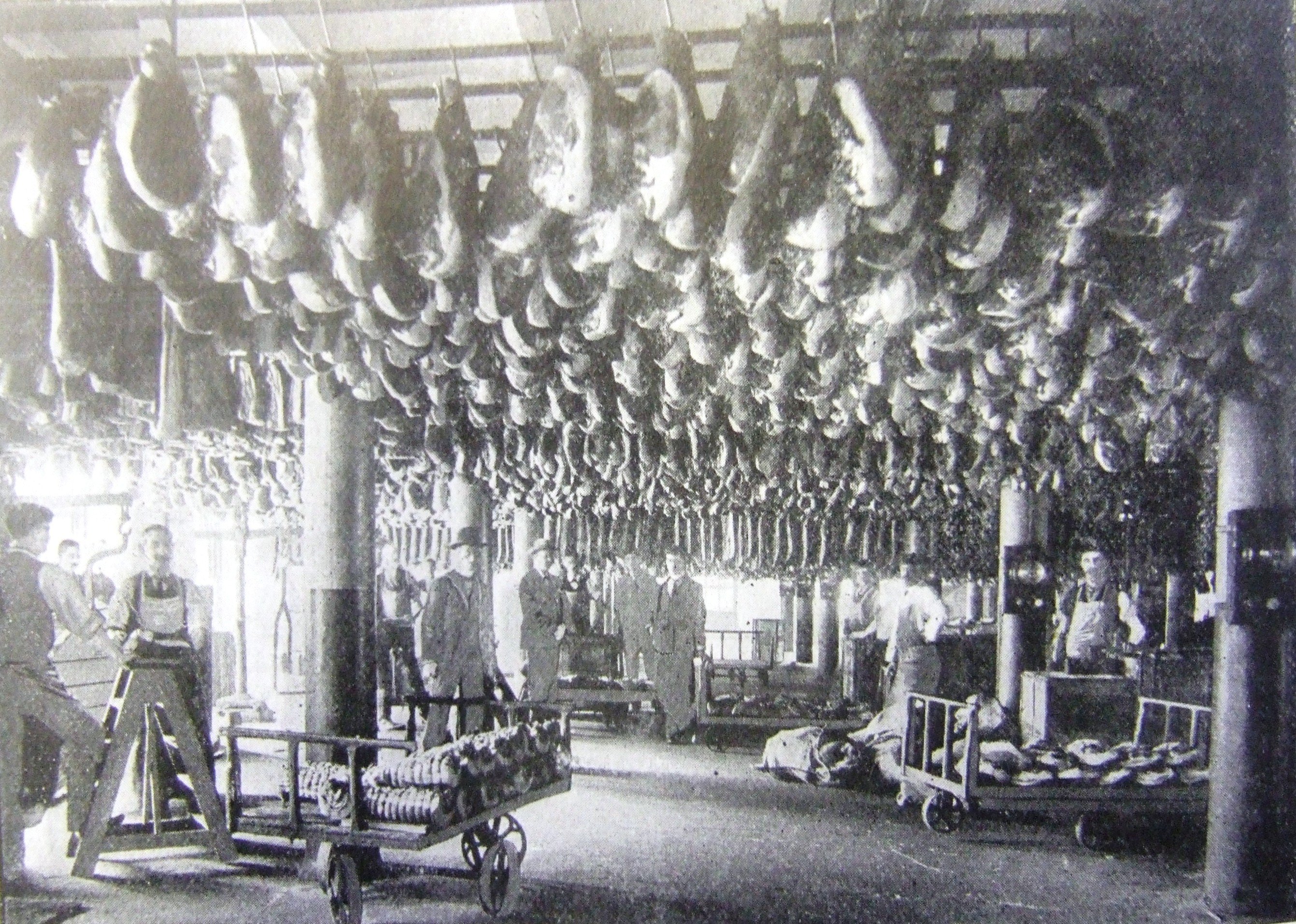 Workers stand under hams hanging from the ceiling 
