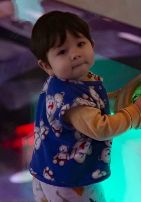 A toddler is standing next to light box cube which is placed on the ground, the toddler is holding a wooden toy.