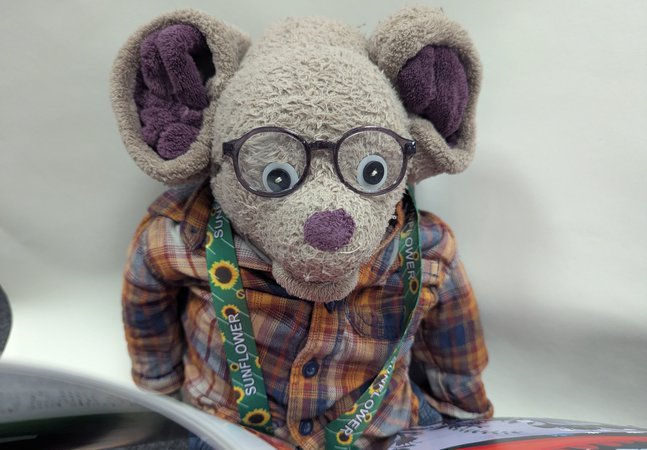 Toy Mouse Reading