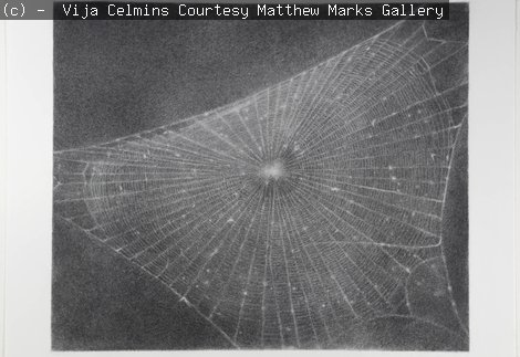 Web #1 is a large charcoal drawing on paper of a spider’s web