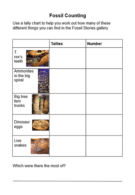 Fossil Counting year 2