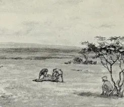 Detail of an illustration from Chapman’s 1907 book ‘On Safari’. In it, Chapman rests under a tree while assistants butcher a Zebra carcass.