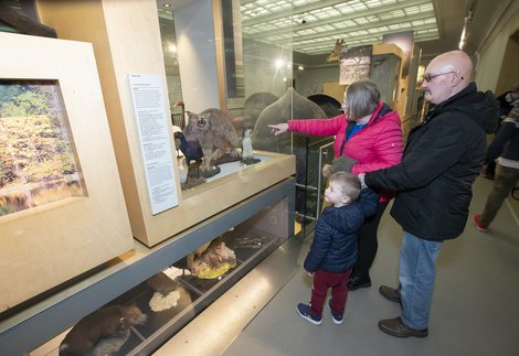 A family in the living planet gallery 