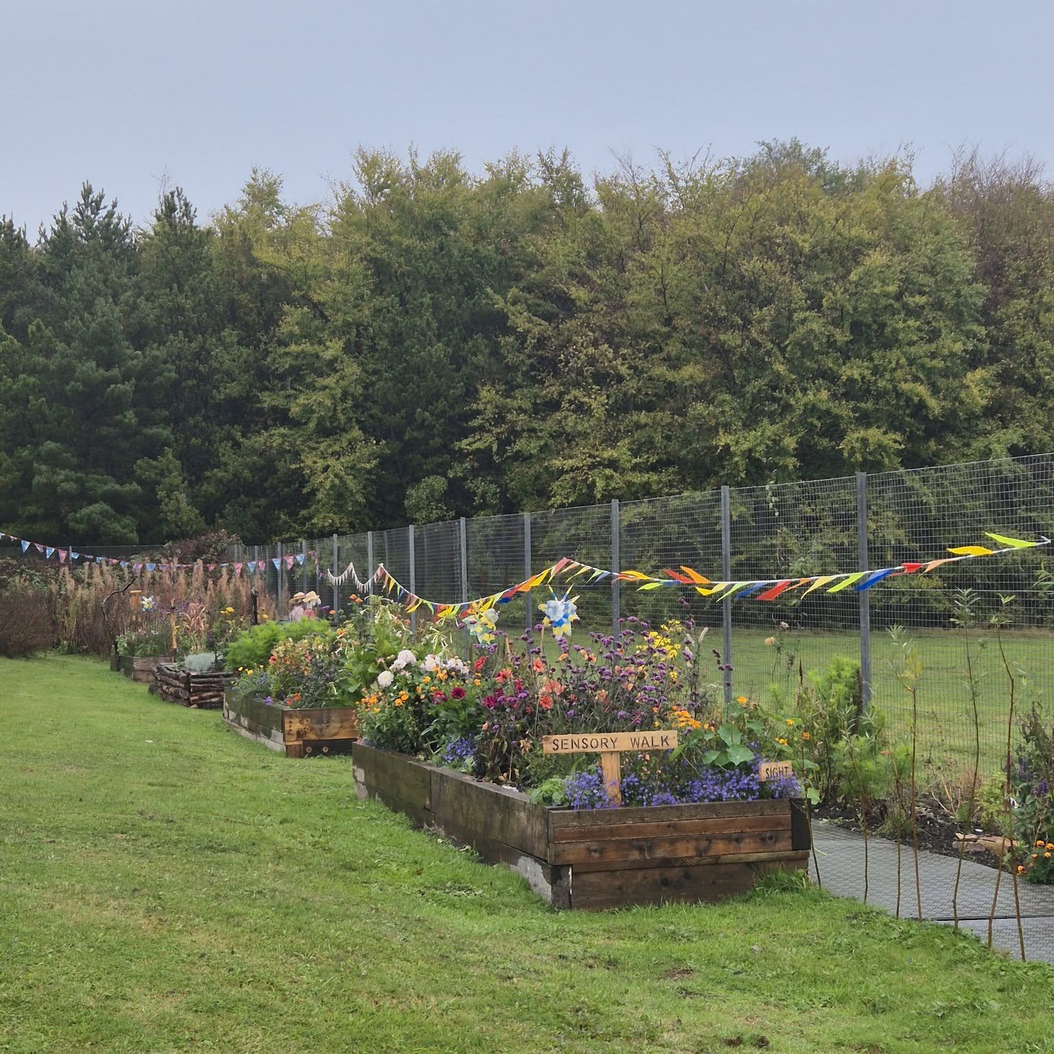Path with flowerbeds on one side and bunting on the other.