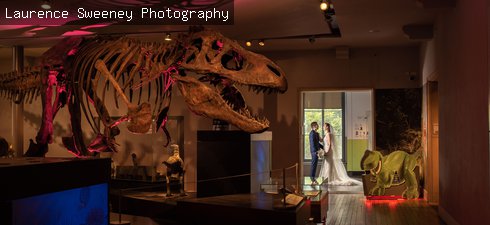 Great North Museum: Hancock wedding photograph by Laurence Sweeney Photography