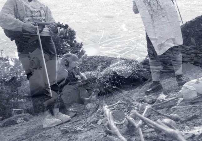 Multiple images overlaying each other showing a violinist, roses, a woman, the sea, trees