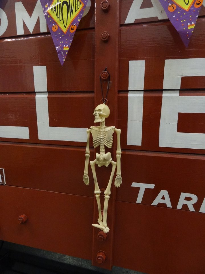 Skeleton