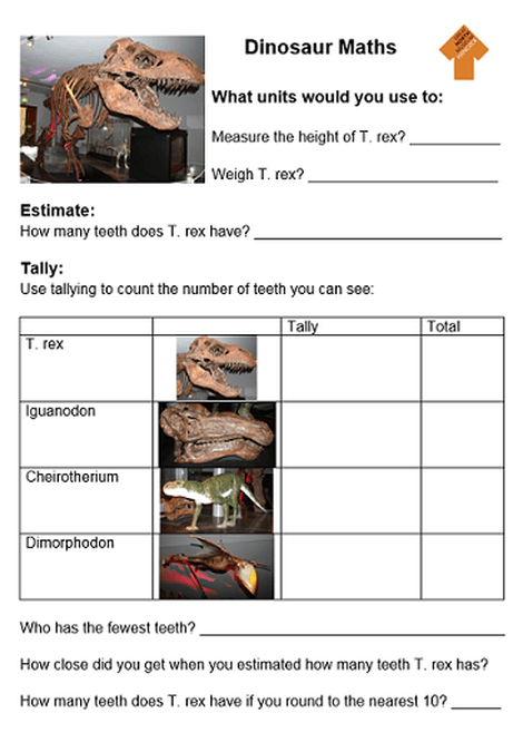 Dinosaur Maths Year 2