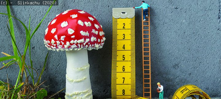 Taking a Measurement