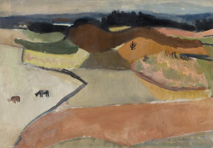 Landscape Midlem