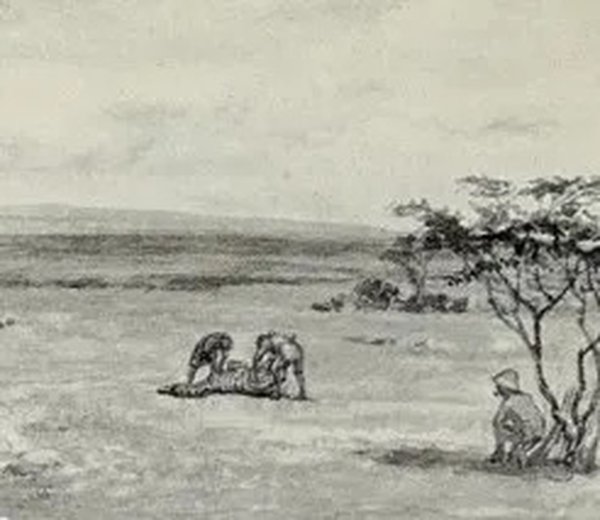 Detail of an illustration from Chapman’s 1907 book ‘On Safari’. In it, Chapman rests under a tree while assistants butcher a Zebra carcass.