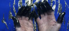 Hands with black paint and gold glitter on finger tips, on a blue background.