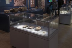 Roman pottery in exhibition case