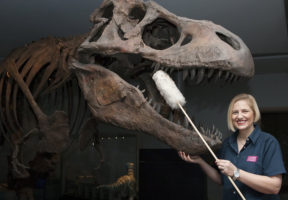 Working at the Great North Museum 