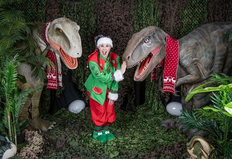 An elf with two t-rex dinos