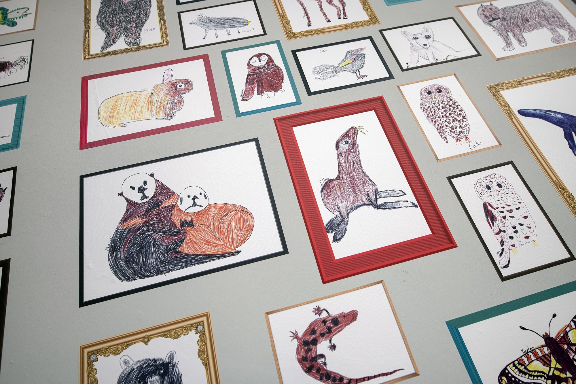 Various children's biro drawings of animals shown in frames. Various children's biro drawings of animals shown in frames.
