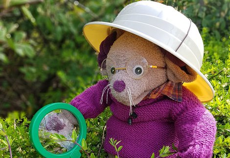 Great North Museum mascot Albany holds a magnifying glass