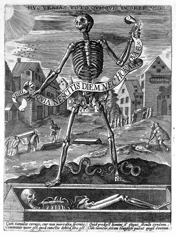 Allegory of death: skeleton, c.1600. 