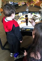 Family Play