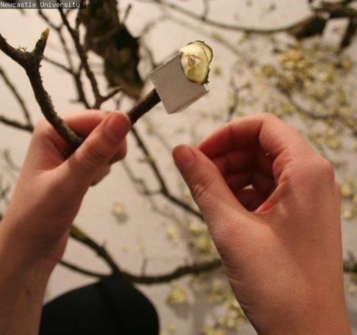 Fine Art Degree Image 