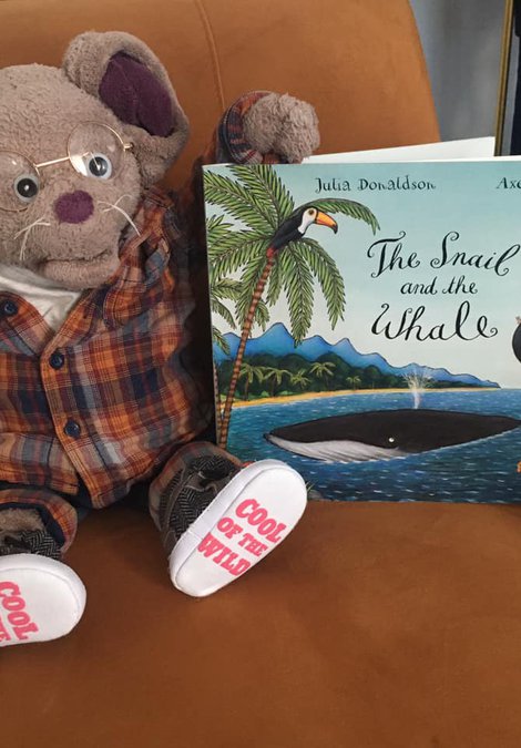 GNM storytime at Home Snail and the Whale