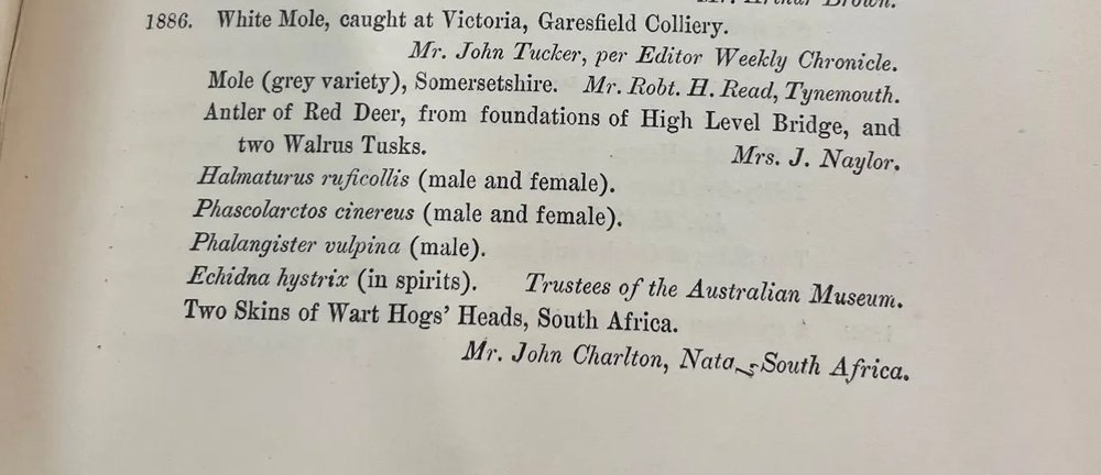 Transaction records in the Natural History Society of Northumbria archives — list of donations in the year 1886 with highlighted section showing the donations from Australian Museum. 