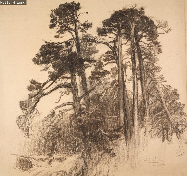 Fir Trees of Island of Killin by Niels Lund