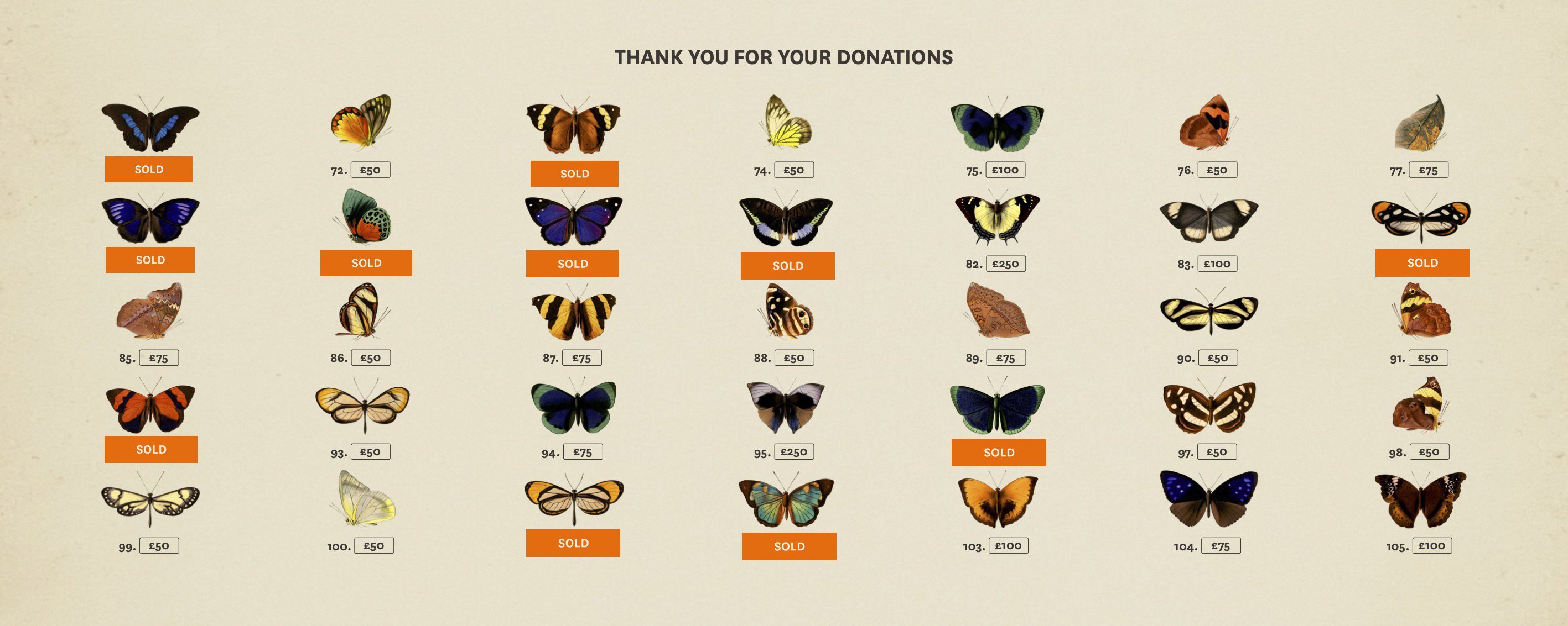 	Illustrated butterflies