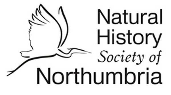 NHSN
