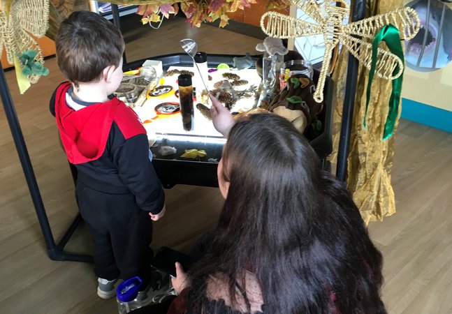 Family Play