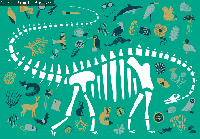 Dippy illustration