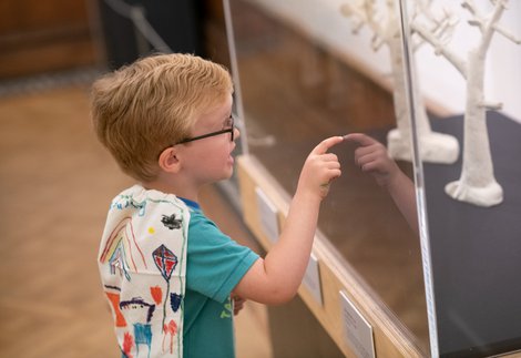 Young boy looking through a glass display case