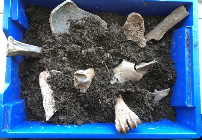 Replica artefacts in a box with some soil